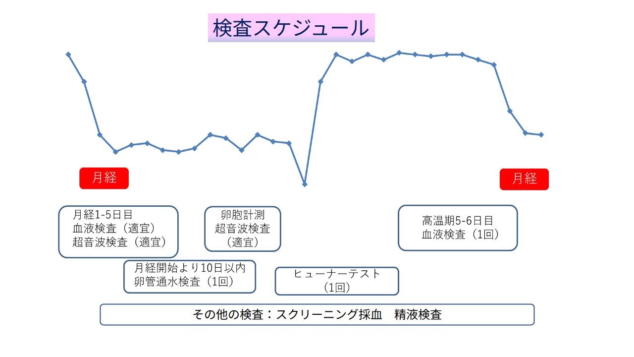 検査スケジュール